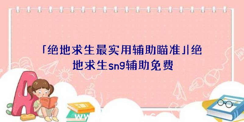 「绝地求生最实用辅助瞄准」|绝地求生sng辅助免费